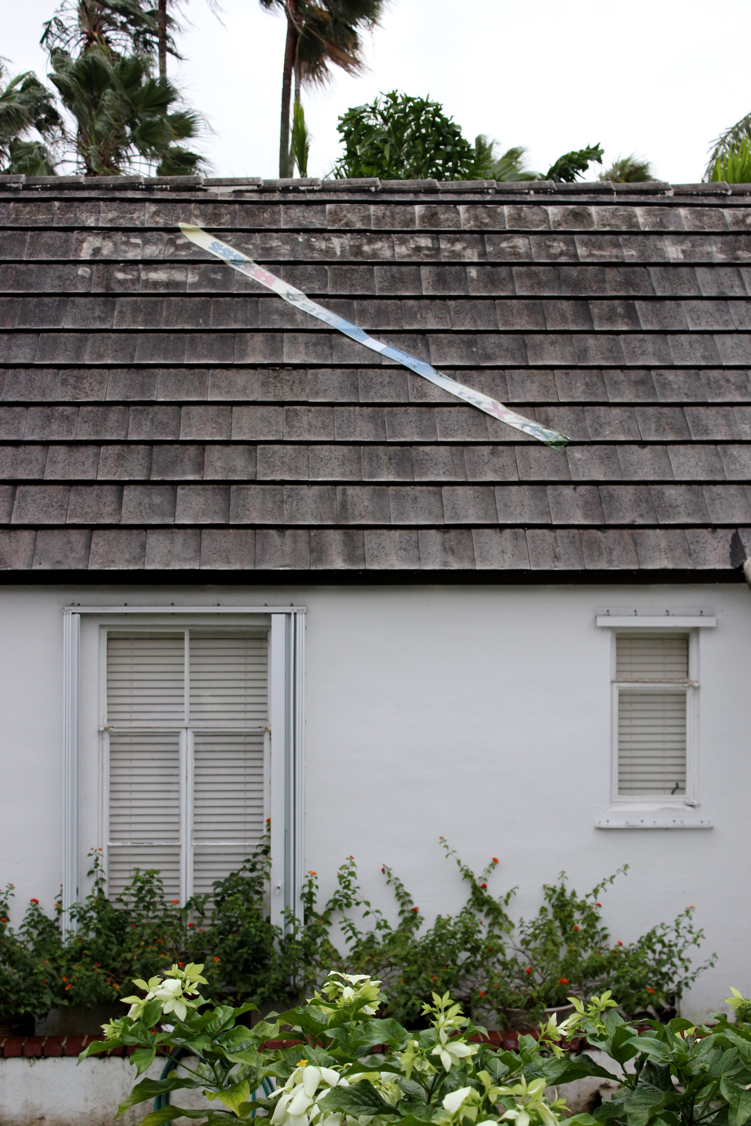  Peter Sutherland,  Skier on the roof  