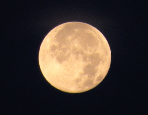 Wyoming Big Growth Moon (NPS photo)