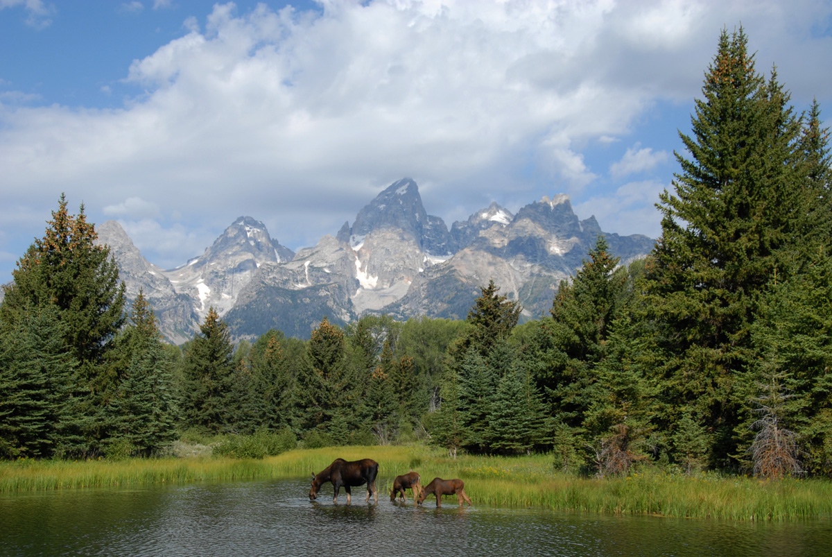 Grand Teton National Park (310,000 acres)