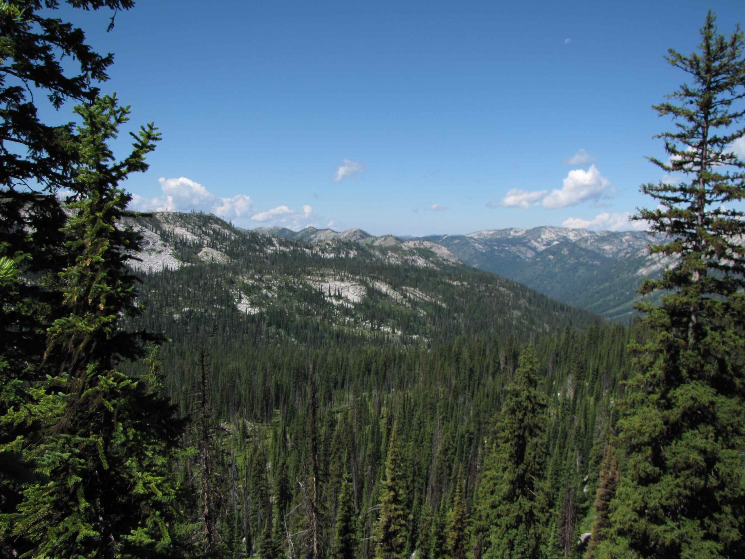 Selway-Bitterroot Wilderness (1.3 million acres)