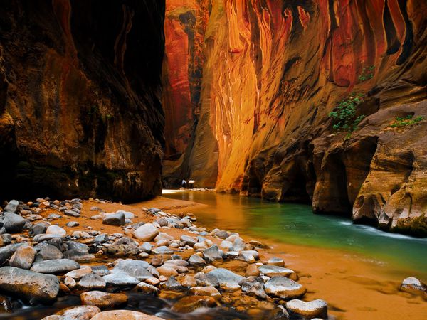 Zion National Park
