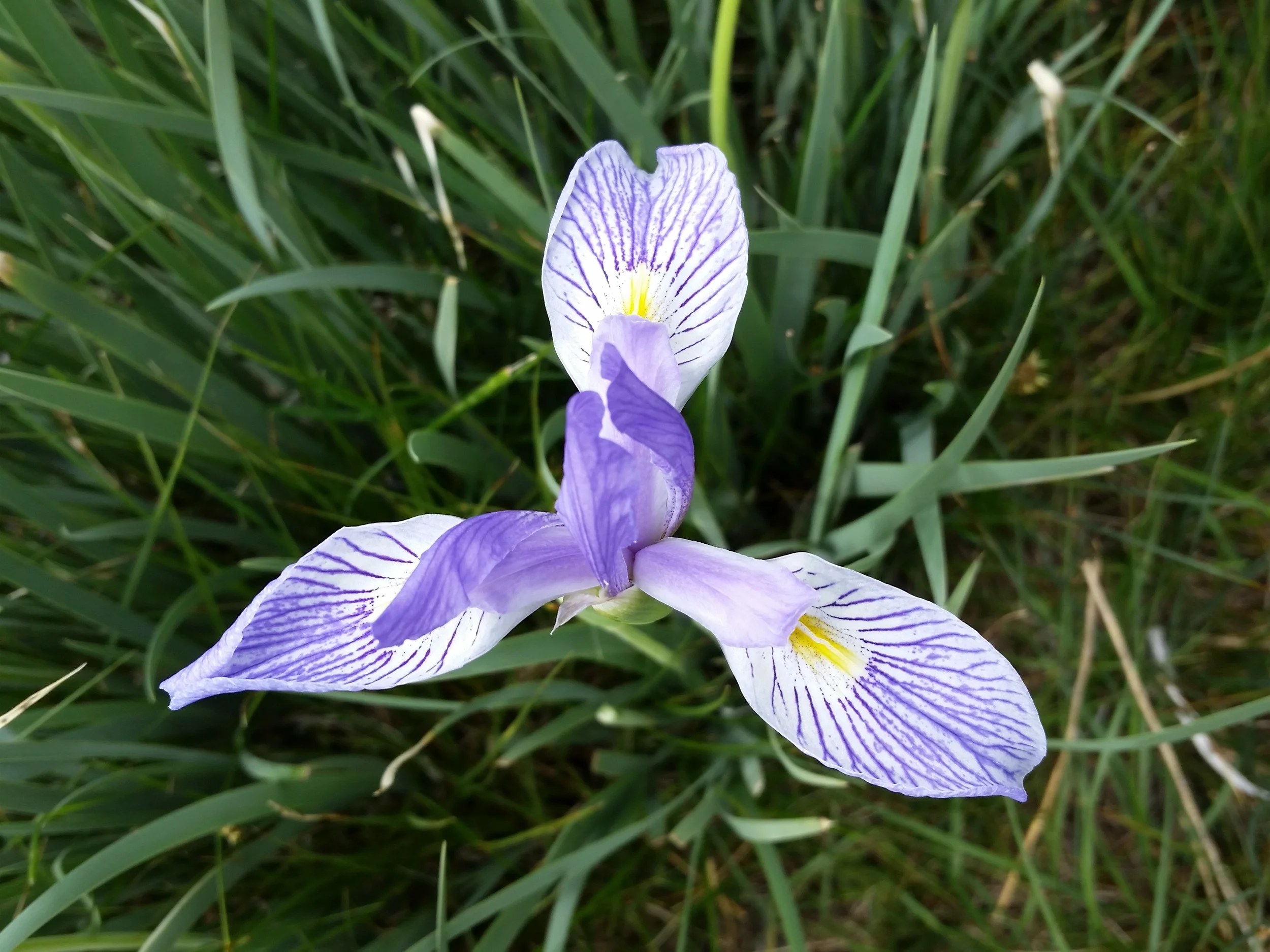 20150606_134942.jpg