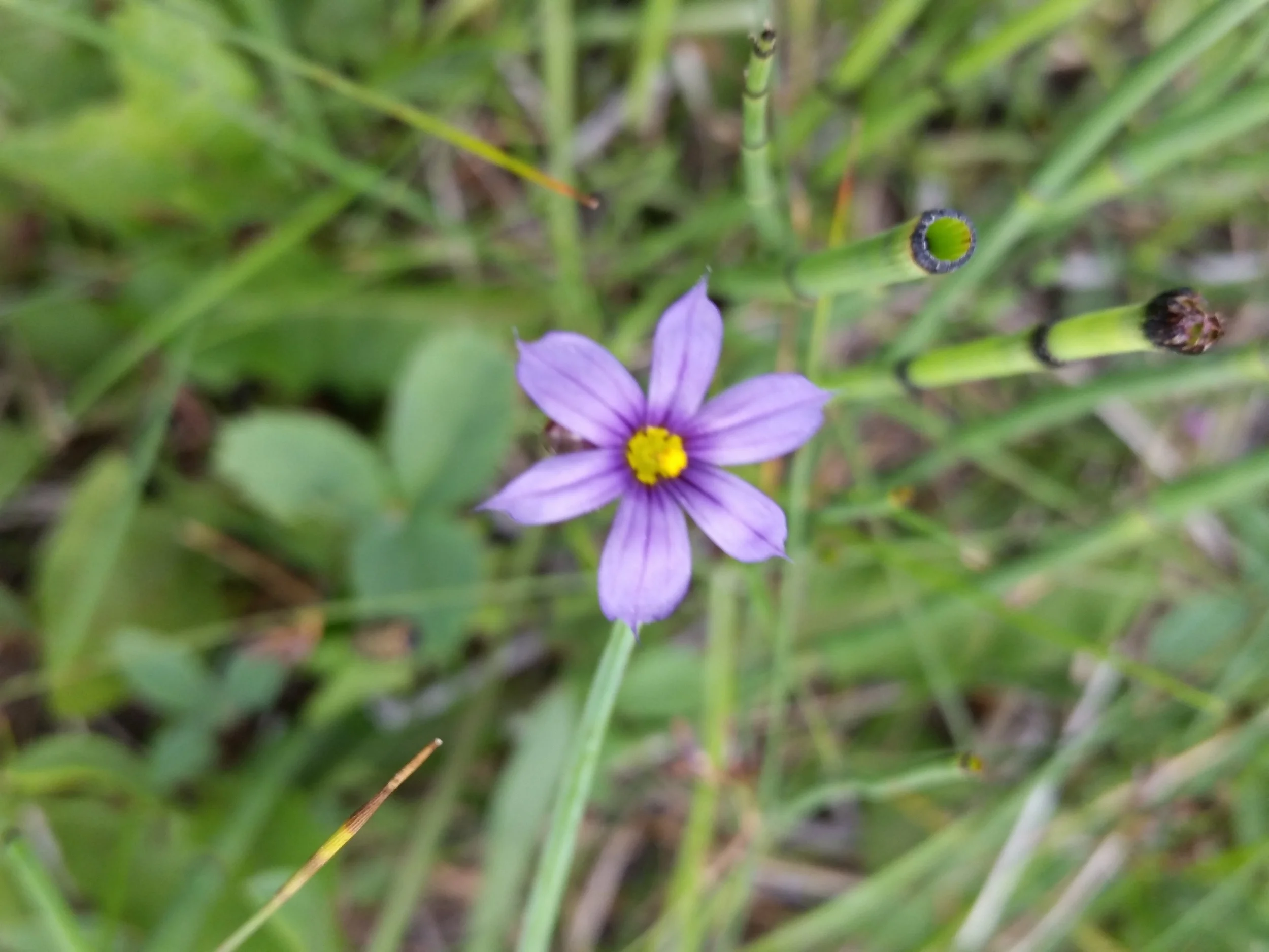 20150628_170943.jpg
