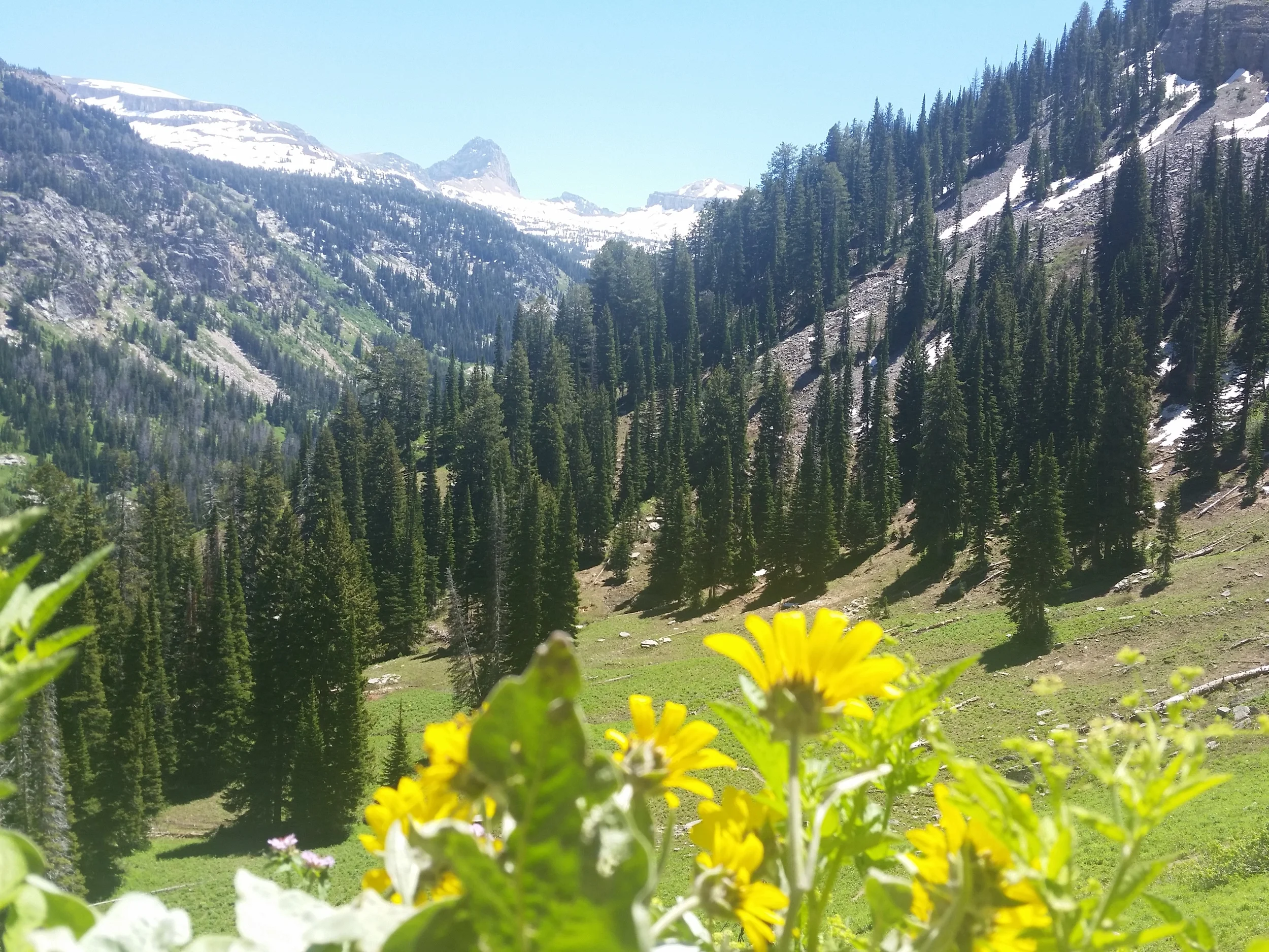 20150613_130336.jpg