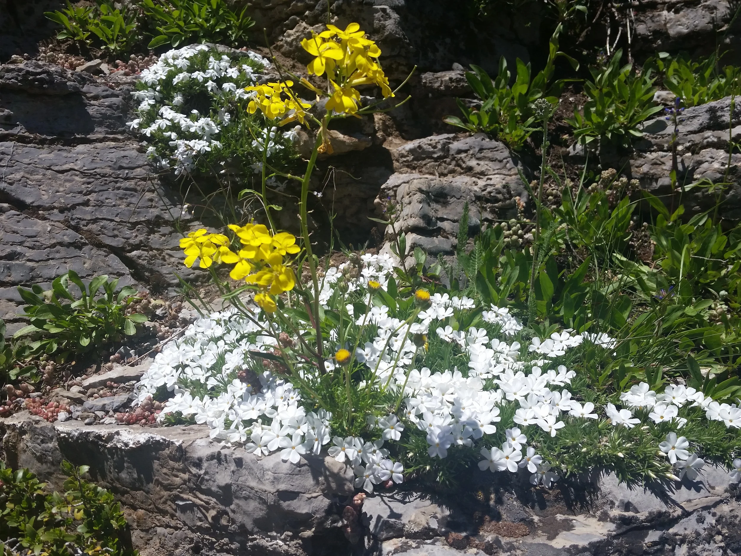20150613_131107.jpg
