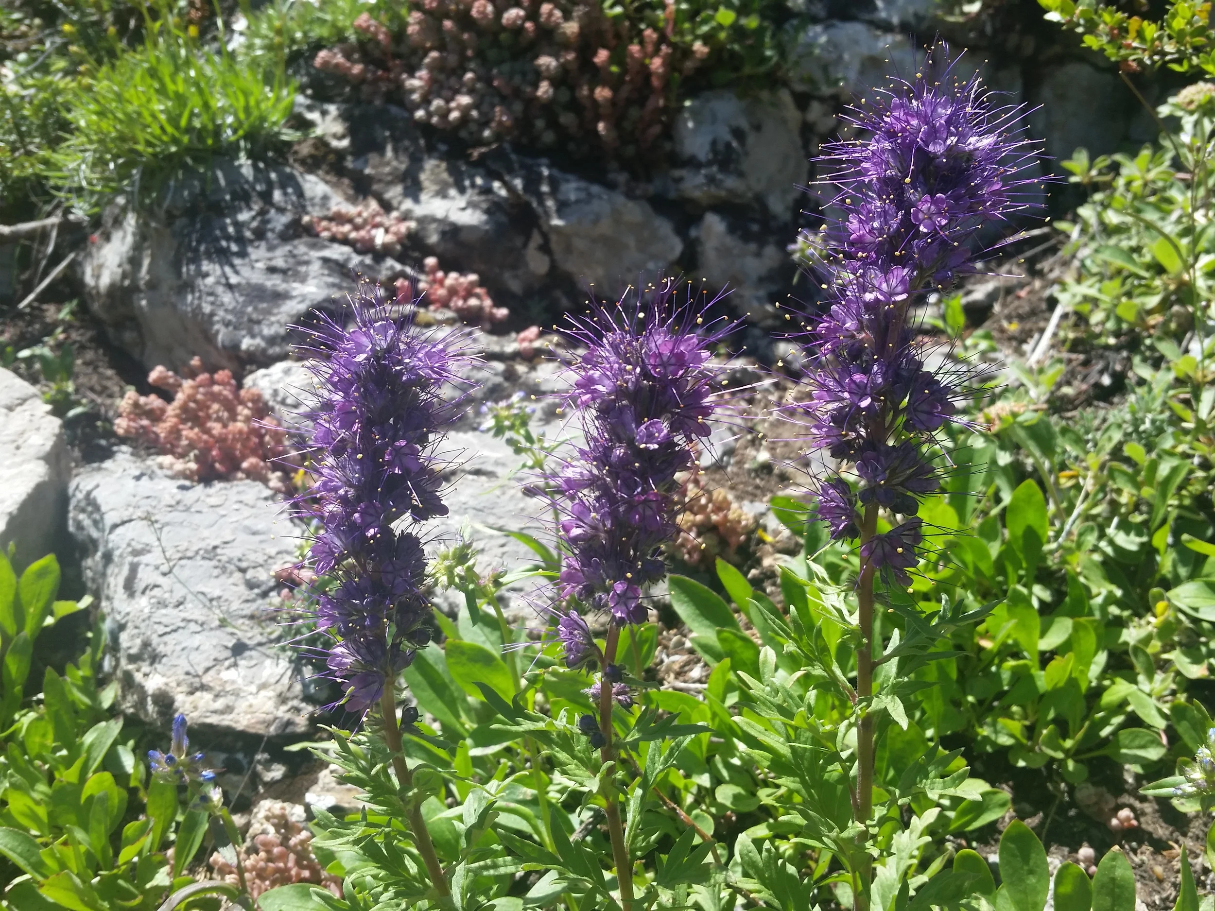 20150613_131124.jpg
