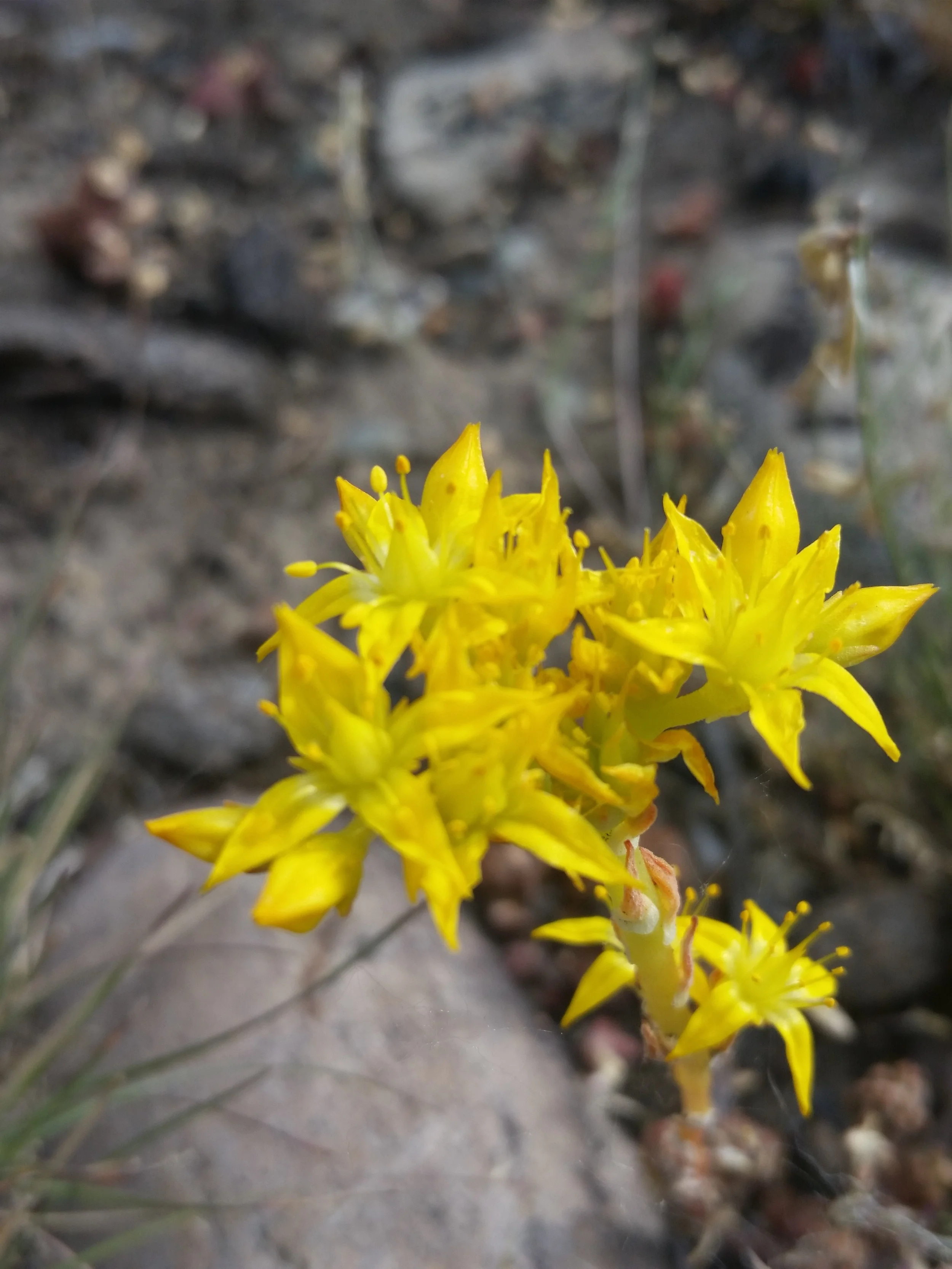 20150628_174158.jpg