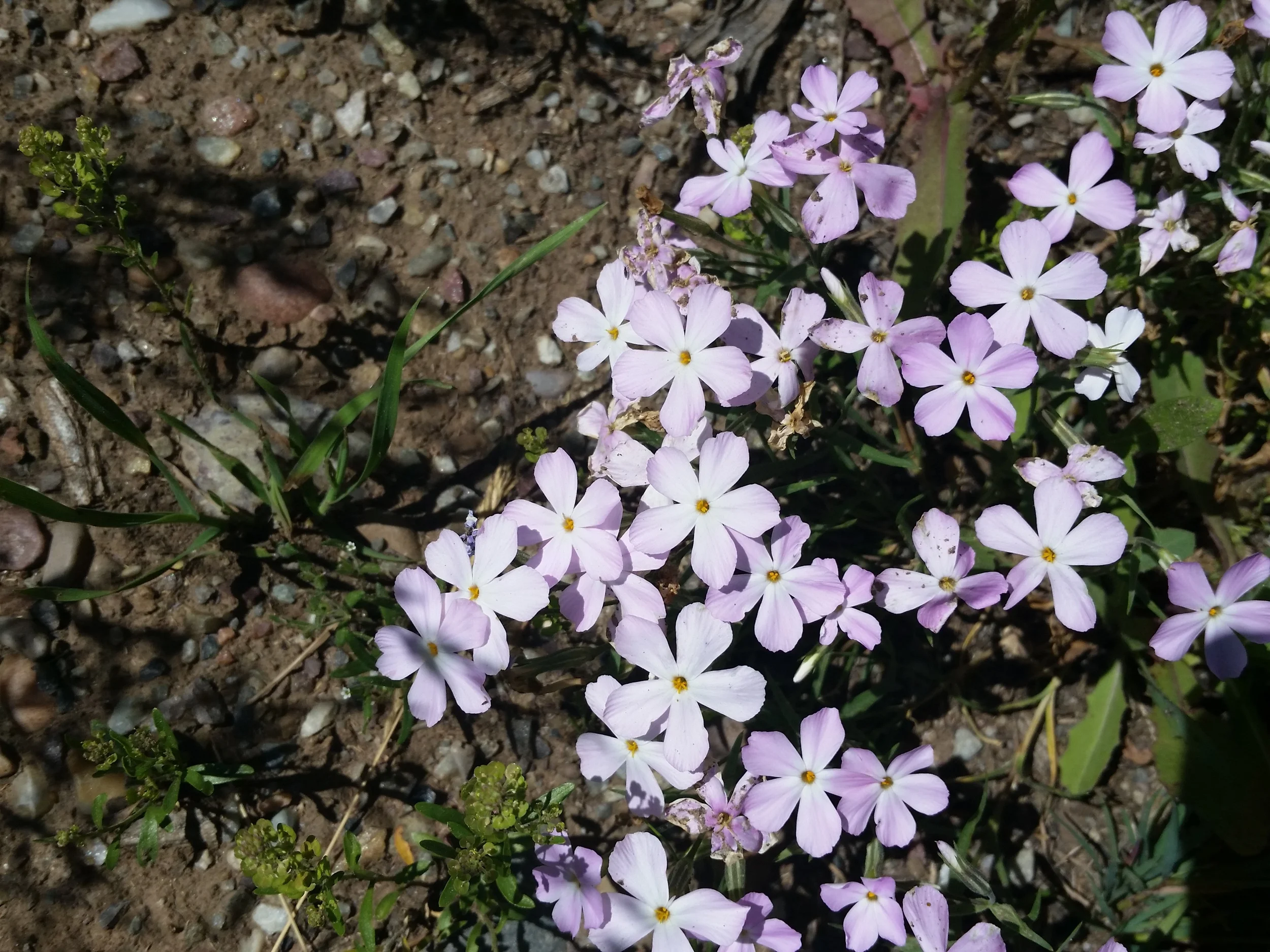 20150614_110849.jpg