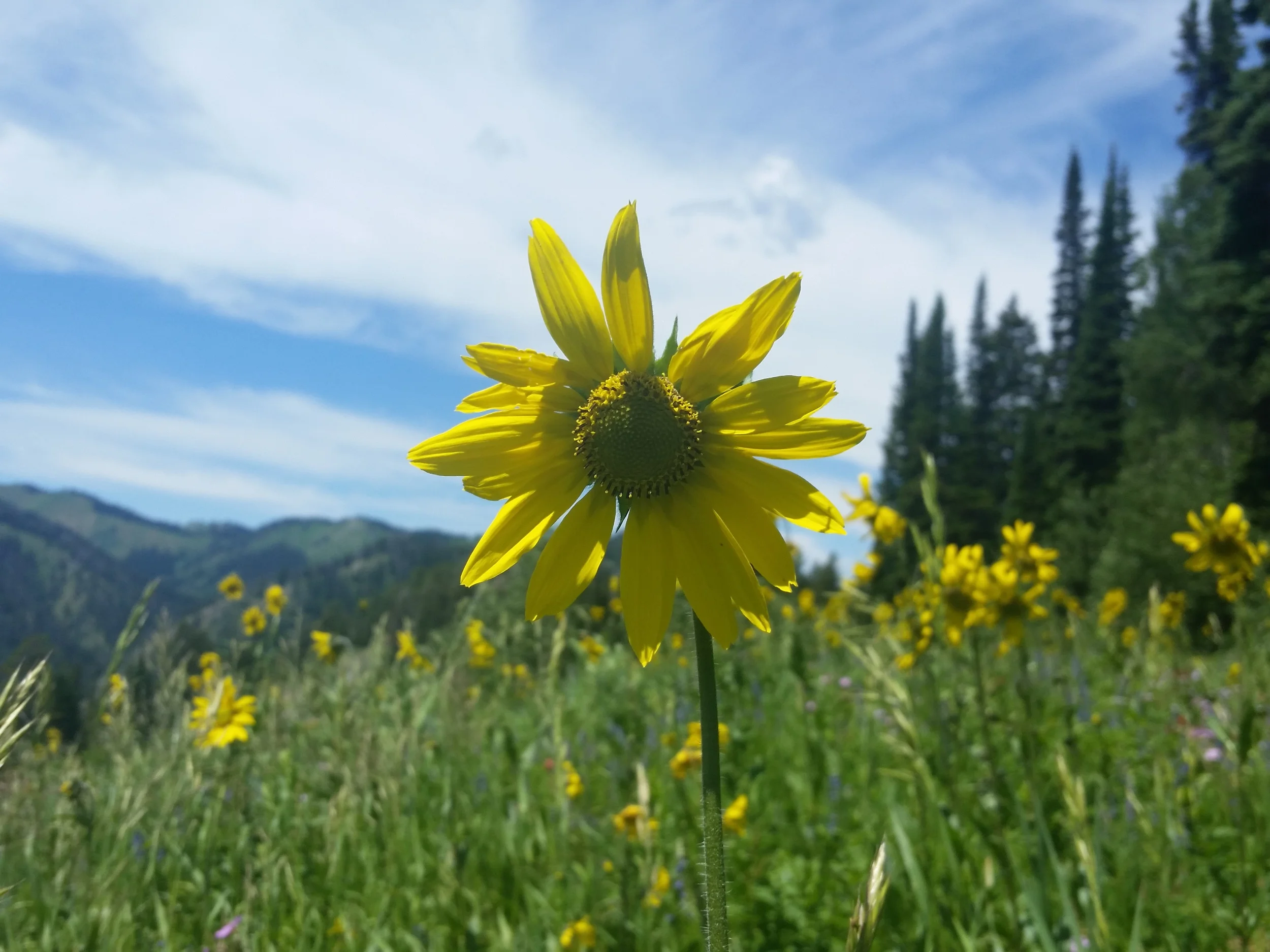 20150627_122505.jpg