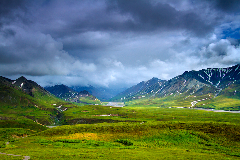 Denali National Park