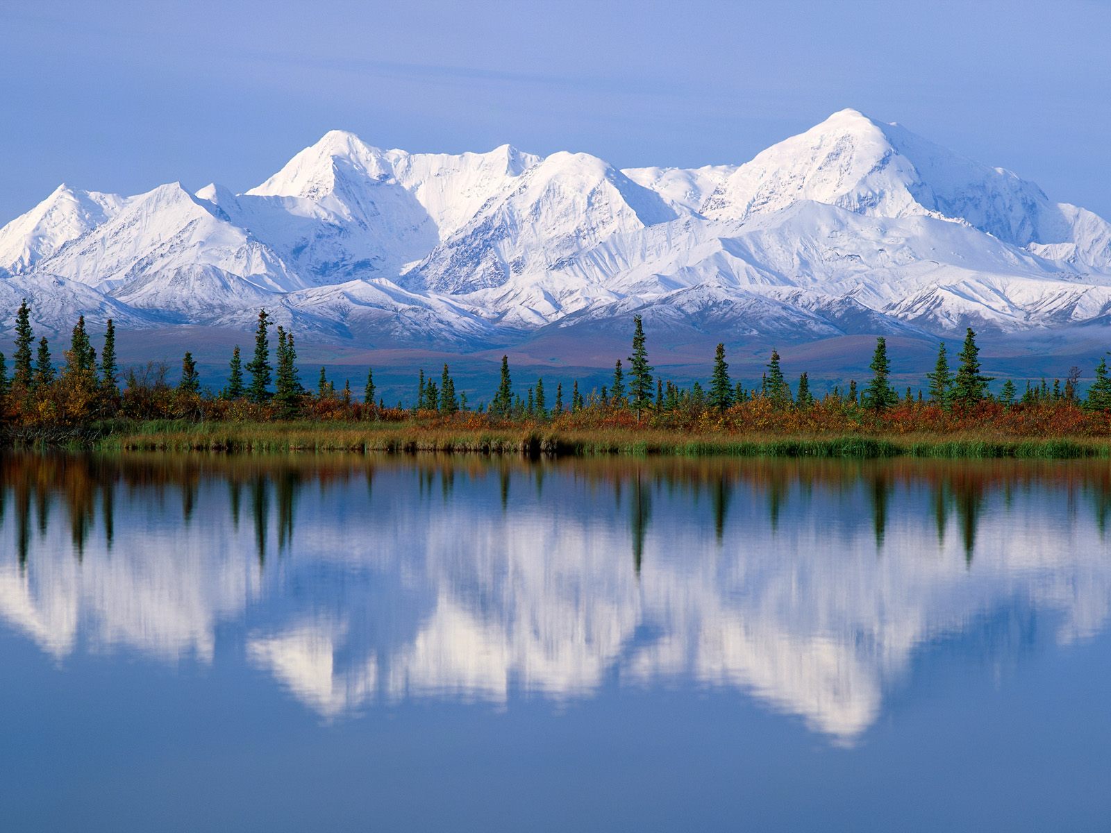 Denali National Park