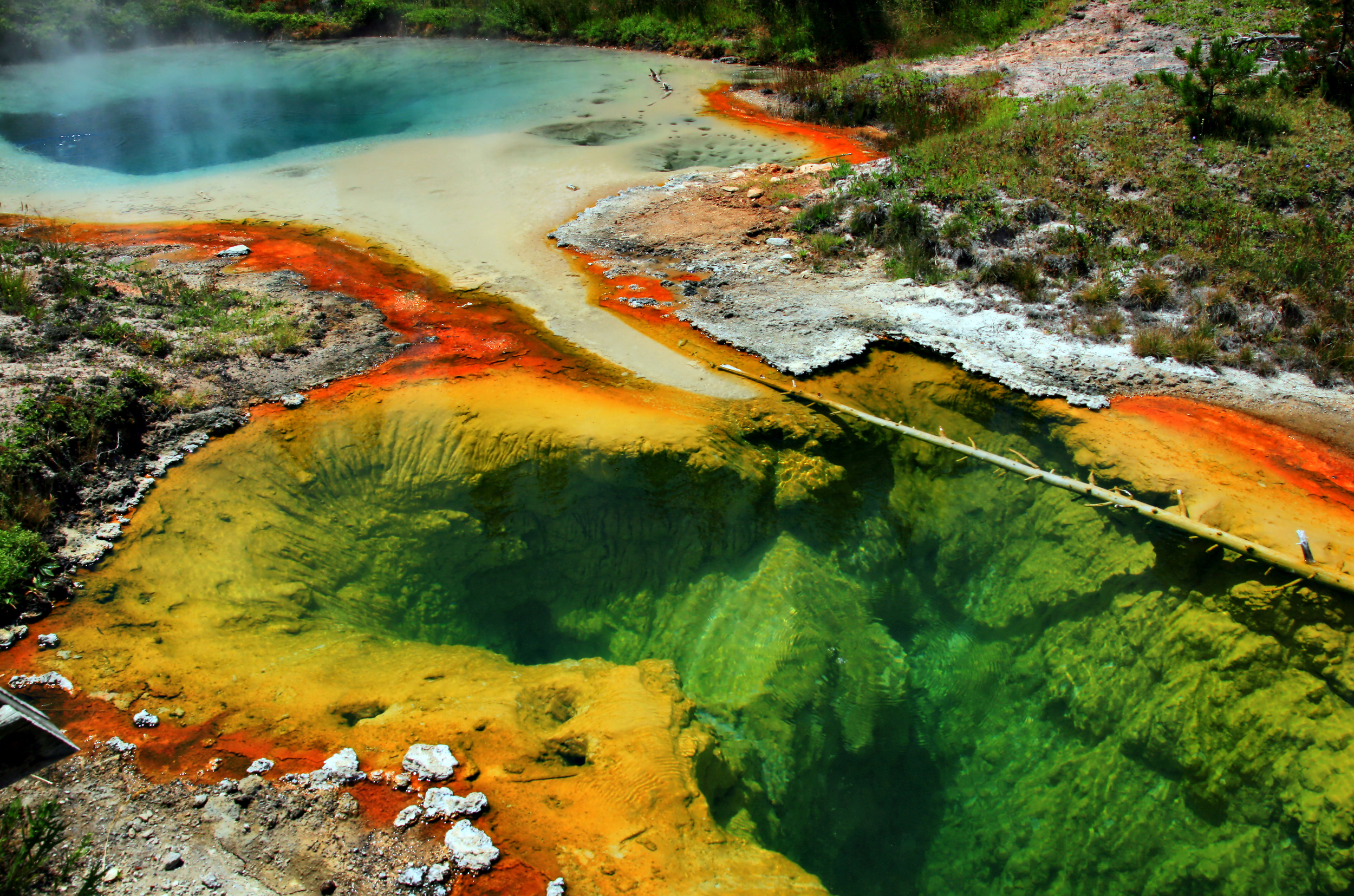 Hot_Springs_in_West_Thumb_Geyser_Basin.jpg