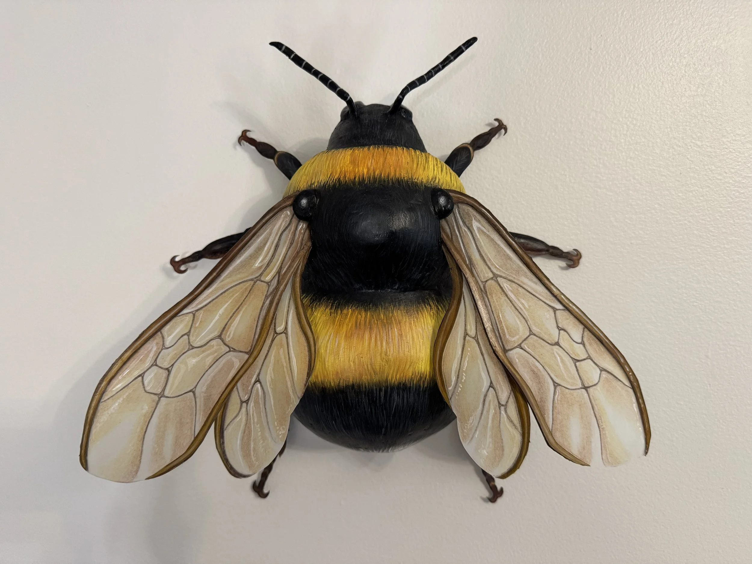 Bumblebee, Paper  Mâché and Cardboard