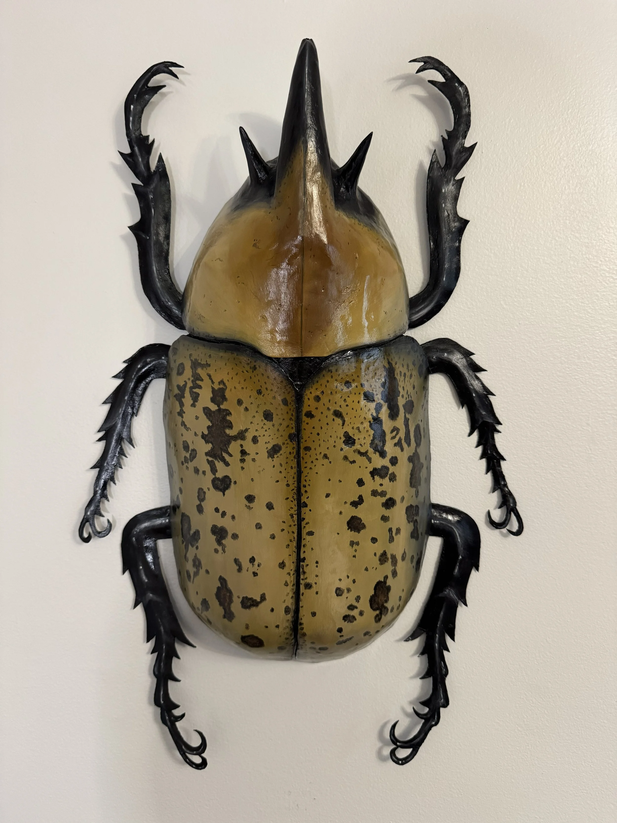 Hercules Beetle, Paper  Mâché and Cardboard 