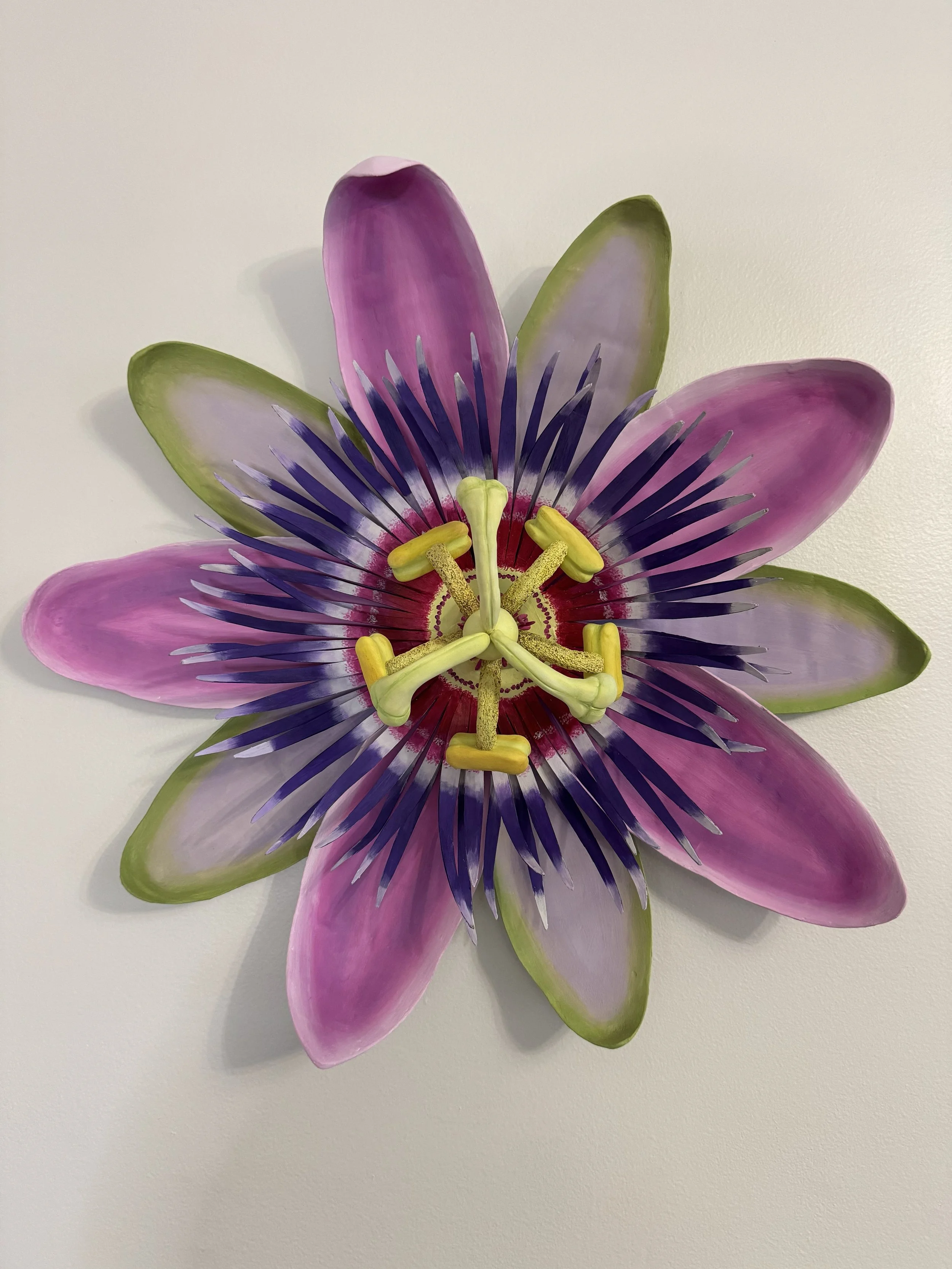Passion Flower, Paper  Mâché and Cardboard 