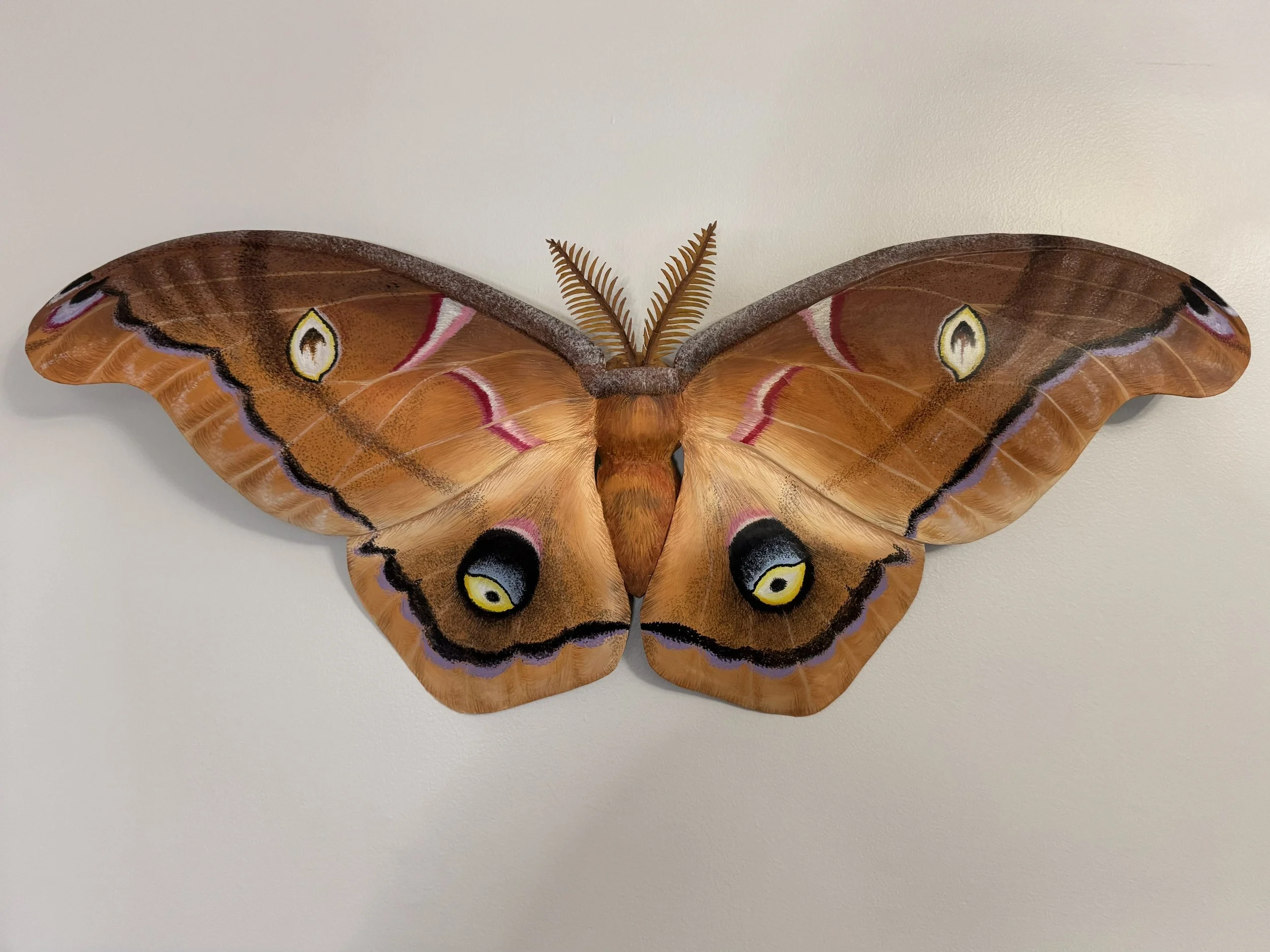 Polyphemus Moth, Paper  Mâché and Cardboard 