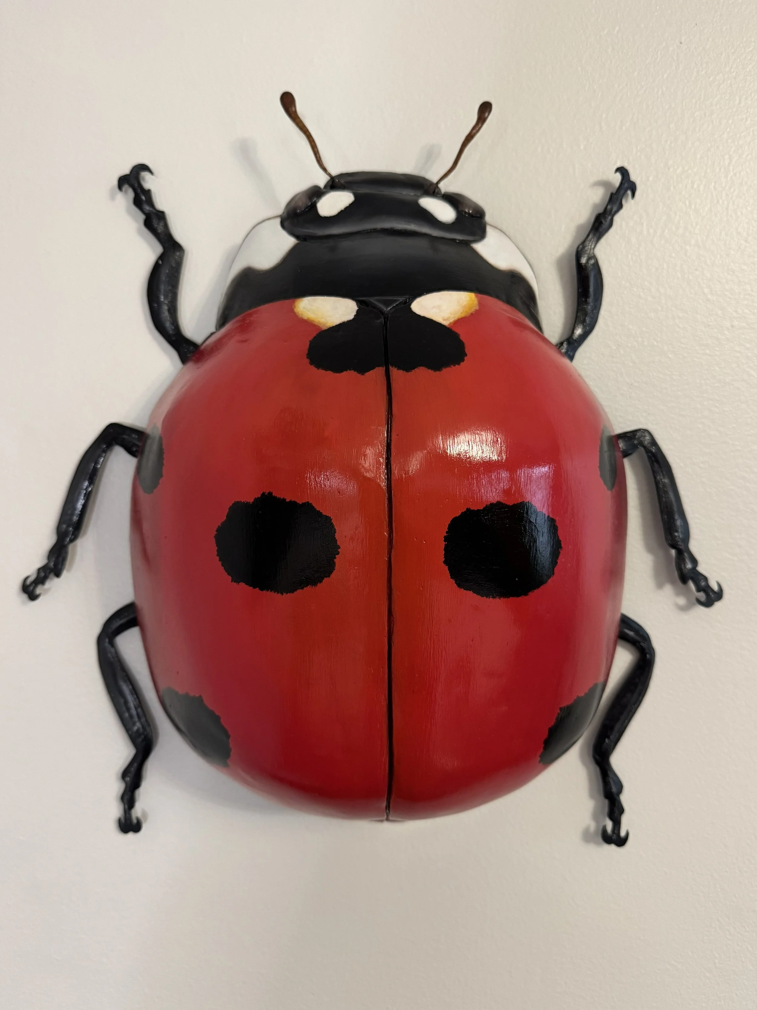 7 Spotted Lady Beetle, Paper Mâché and Cardboard 