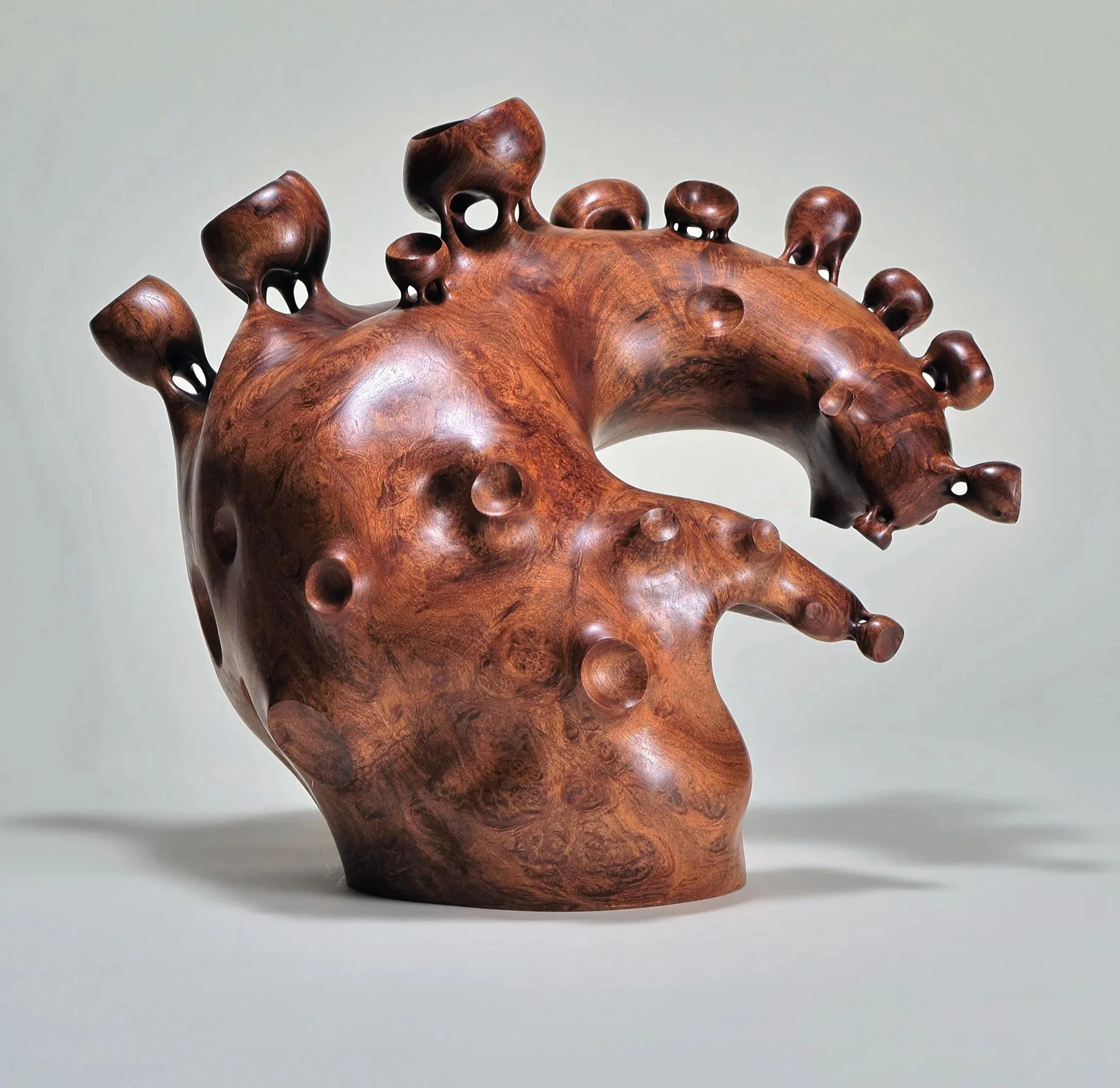  Sculpture “Anteater” 