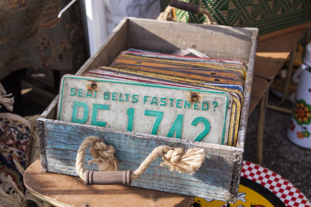 Cle Flea Apr '15 M.Hetzel-1.jpg