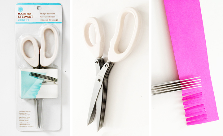 Martha Stewart Fringe Scissors from Pat Catan's. 