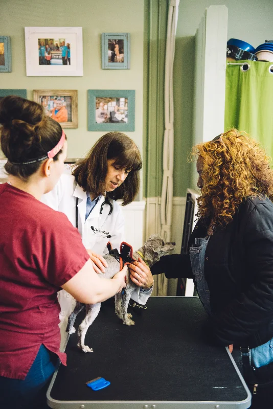 Vaccine clinic at Neighborhood pets with one of our members and their dog receiving a free exam and shots for $5 a piece.