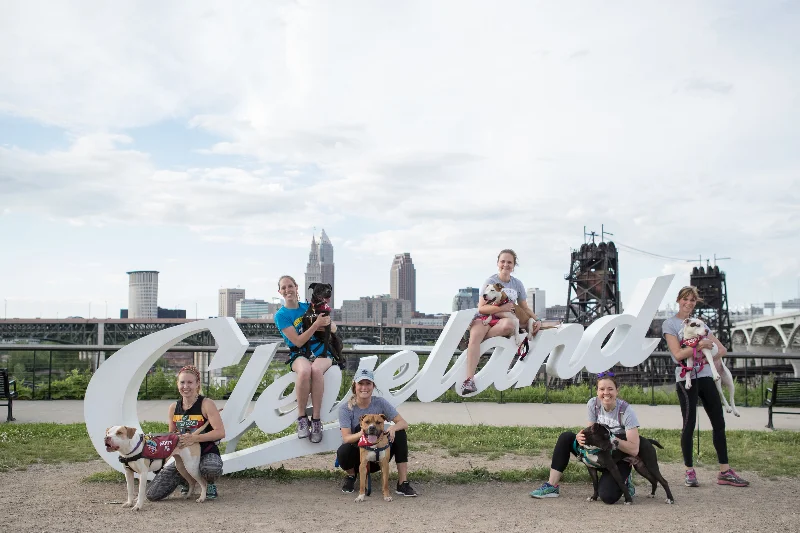 CityDogsRunners5.jpg
