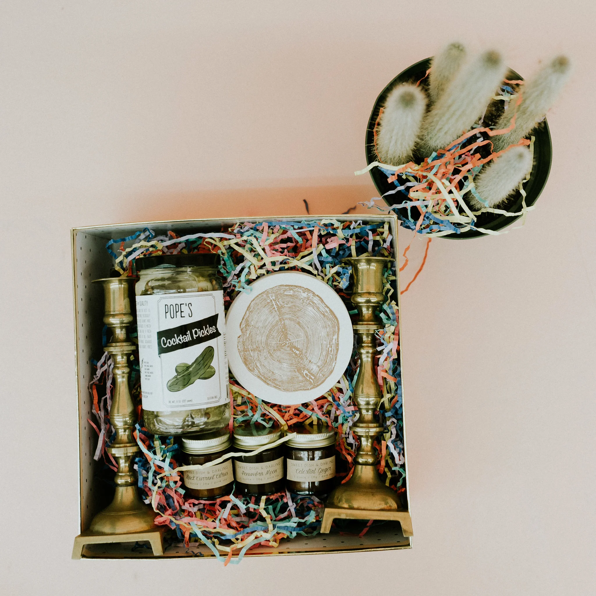 JuliannaArendashPhotography-9990.jpg
