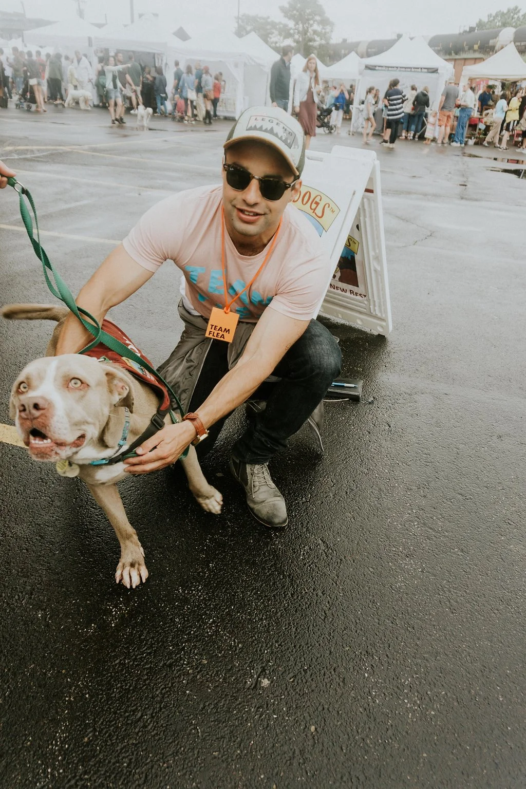 City Dogs.jpg