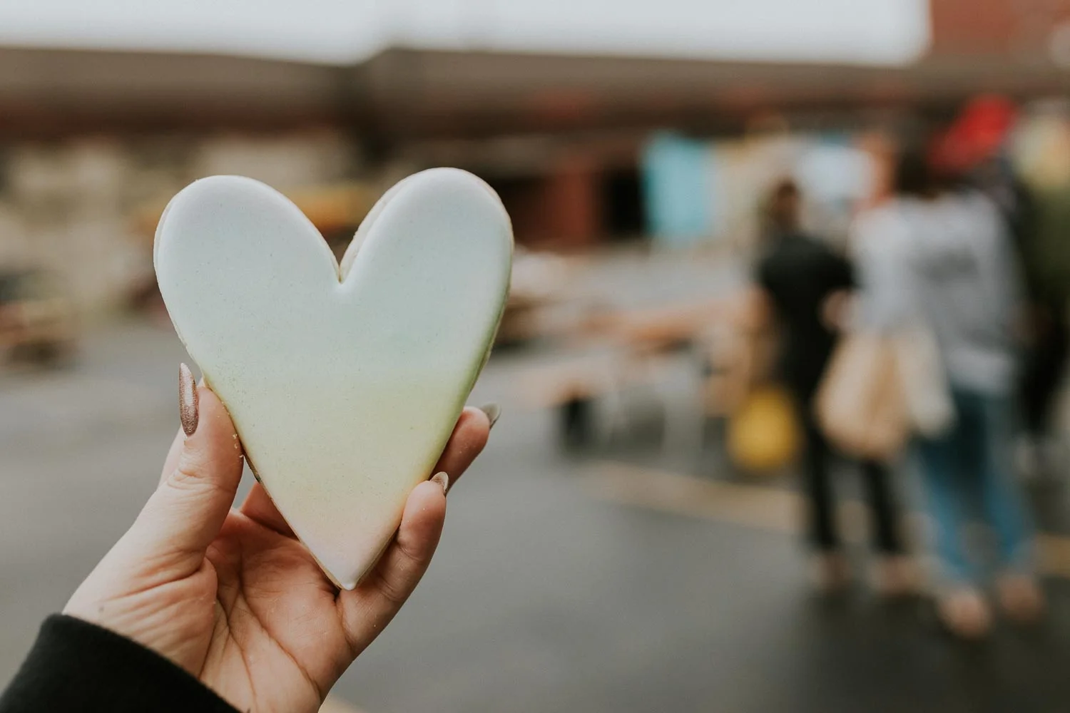 Cookies from Little Red Bird Baking Co.
