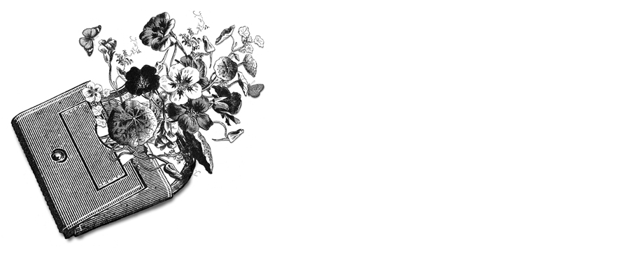 Illustration on economic incentives to aid the environment by Leigh Guldig