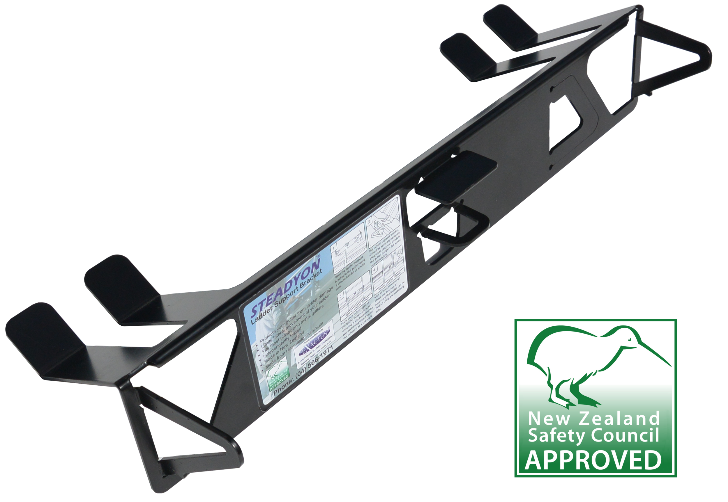 Steadyon with kiwi.png