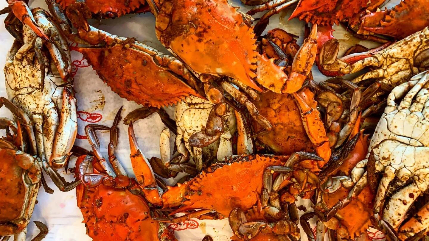 this was a weekend I will never forget. after sixteen months of being apart and digitally connected, i got to sit around a table with vaccinated friends and eat crabs, laugh, hug, and celebrate reunion. 

please get vaccinated, folx. 
10/10 would rec