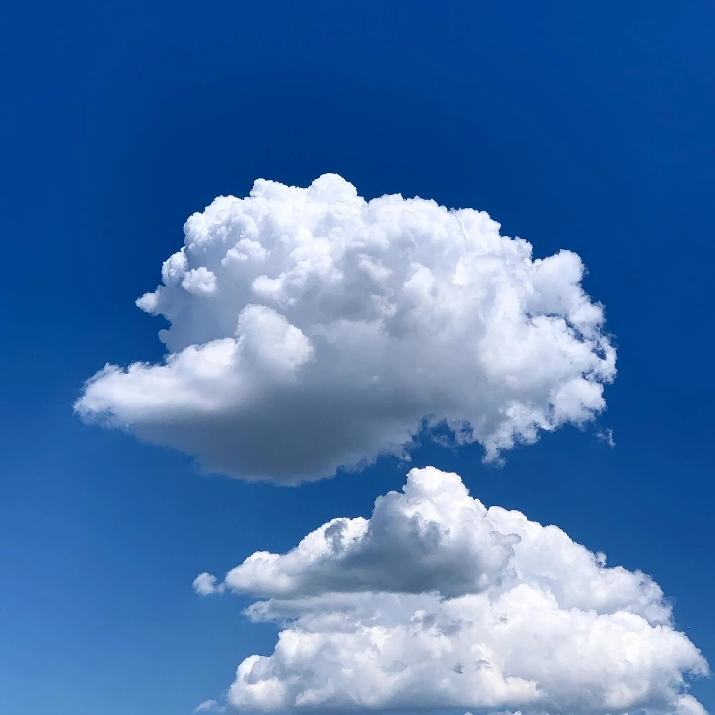 sometimes you just need to walk around and look at the clouds with friends

#weareinthistogether #getvaccinated