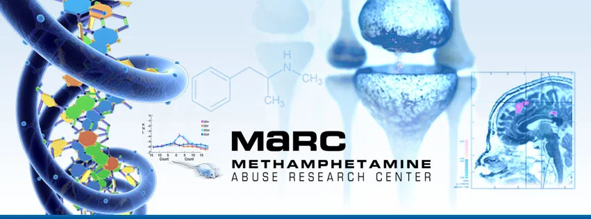 Methamphetamine Abuse Research Center (MaRC) Graphic Identity