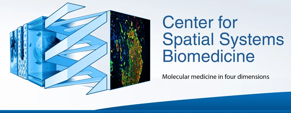Center for Spatial Systems Biomedicine Graphic Identity