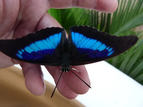 "Did you learn to love?"