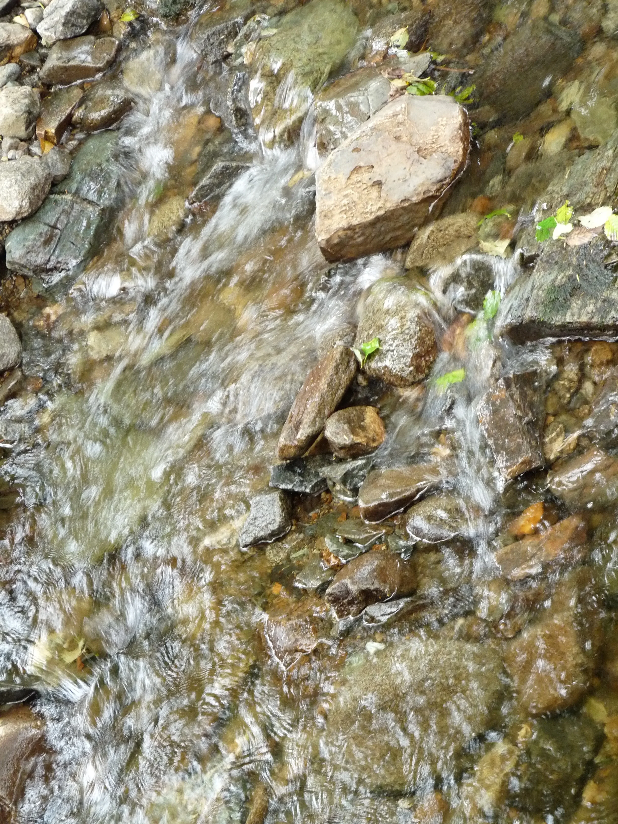 The battle of the mind