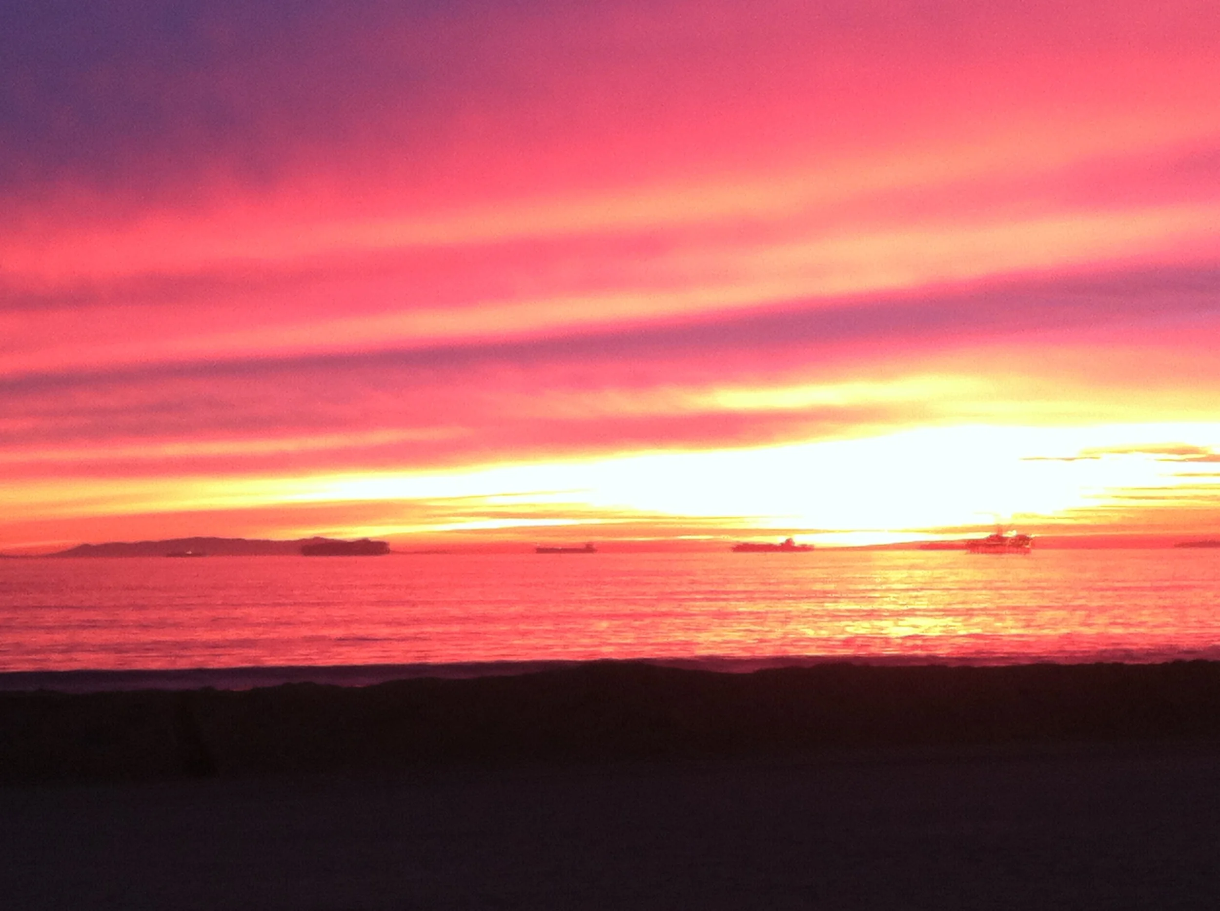   I am the Syrophoenician Woman          