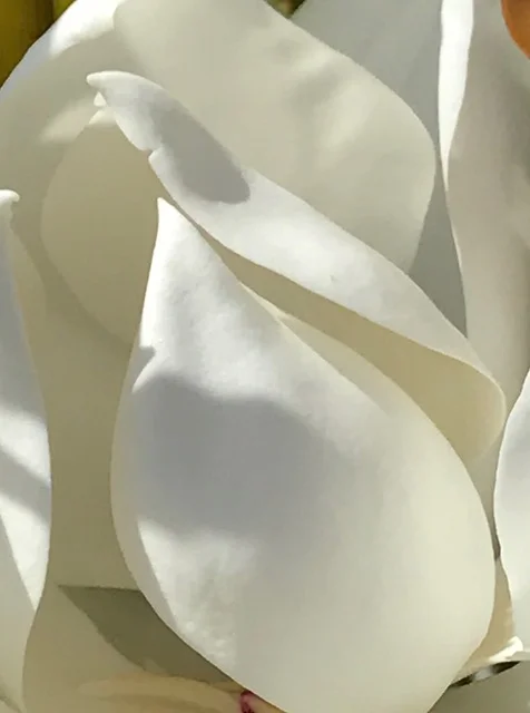 proxy-5.jpg