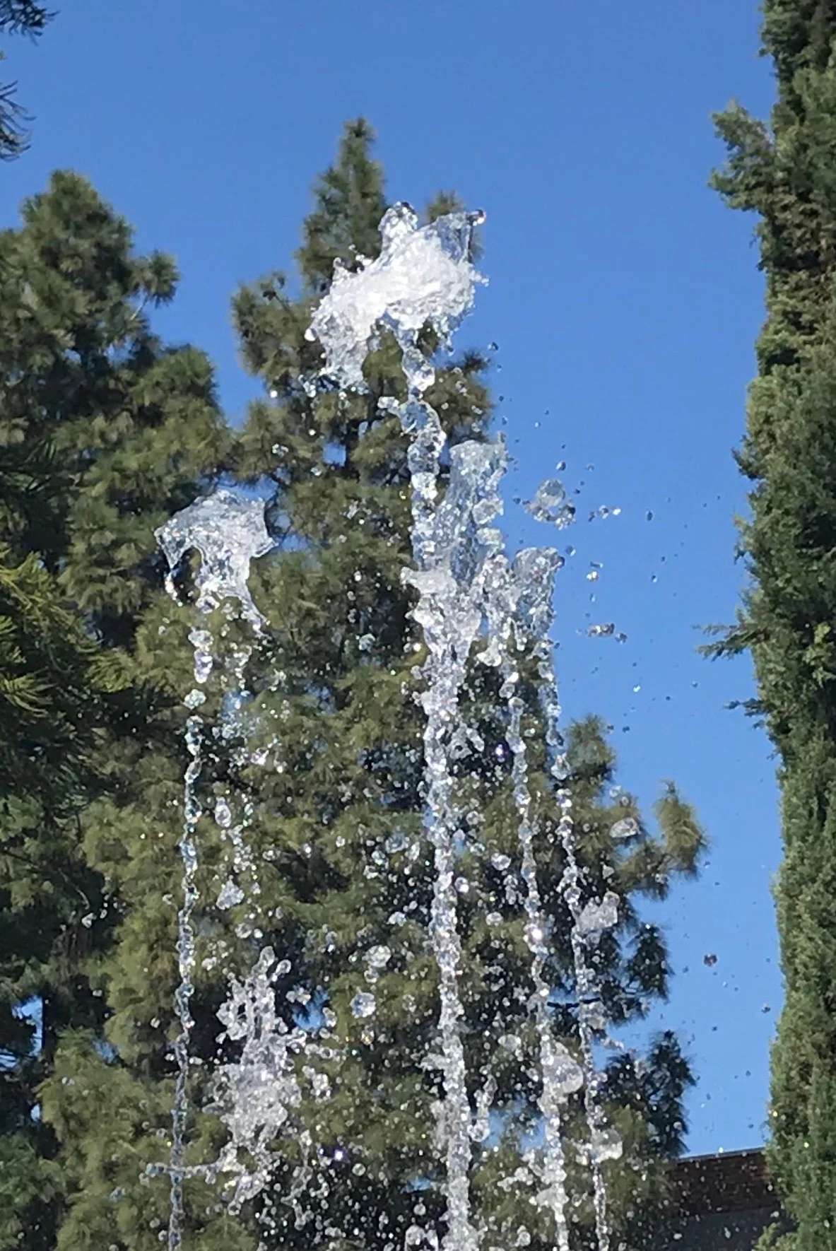 The Beauty of This Time