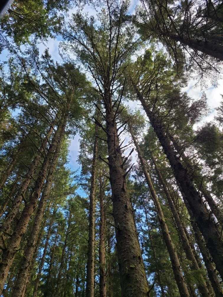 Greatness of our God