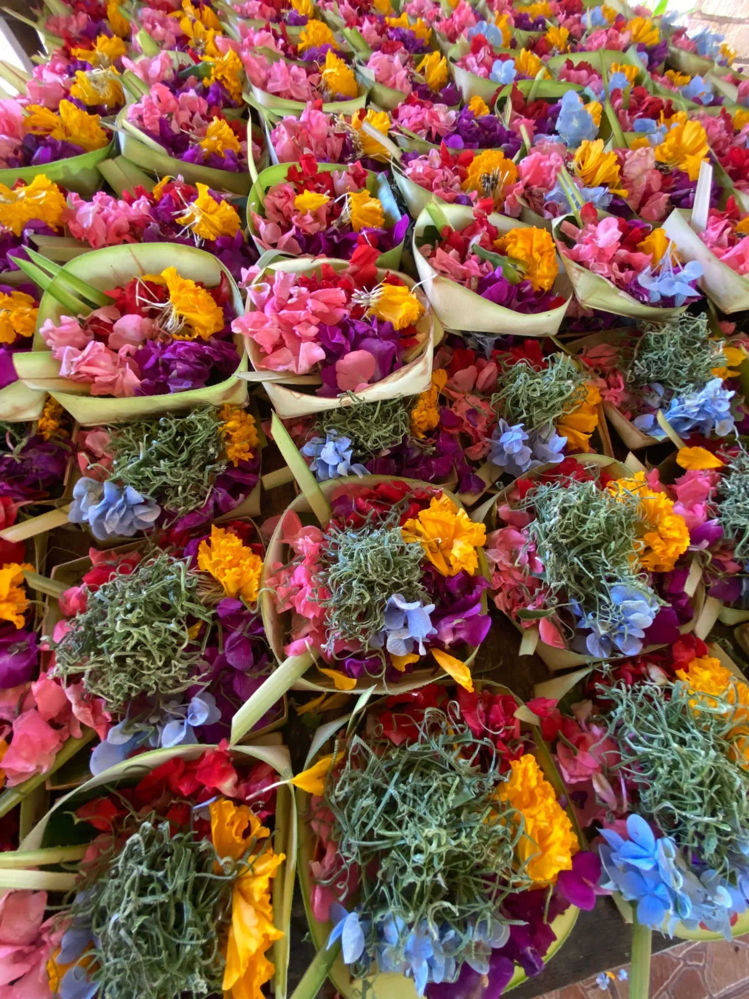 From Ashes to Beauty