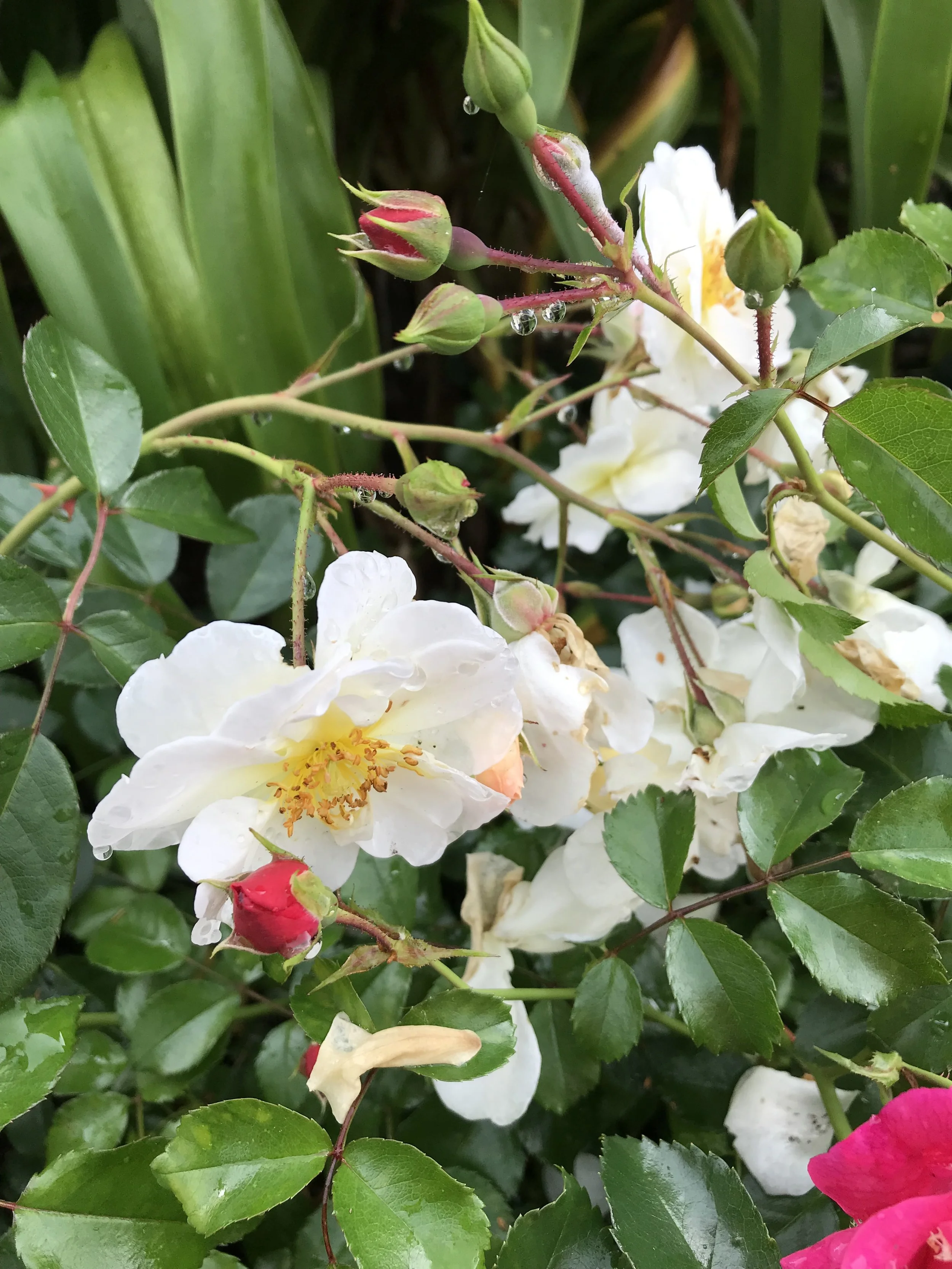 It Will Be Worth It!