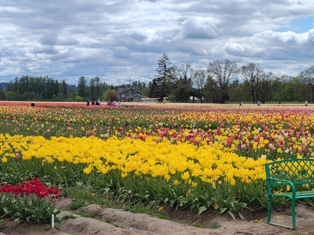 There is No Barren Ground