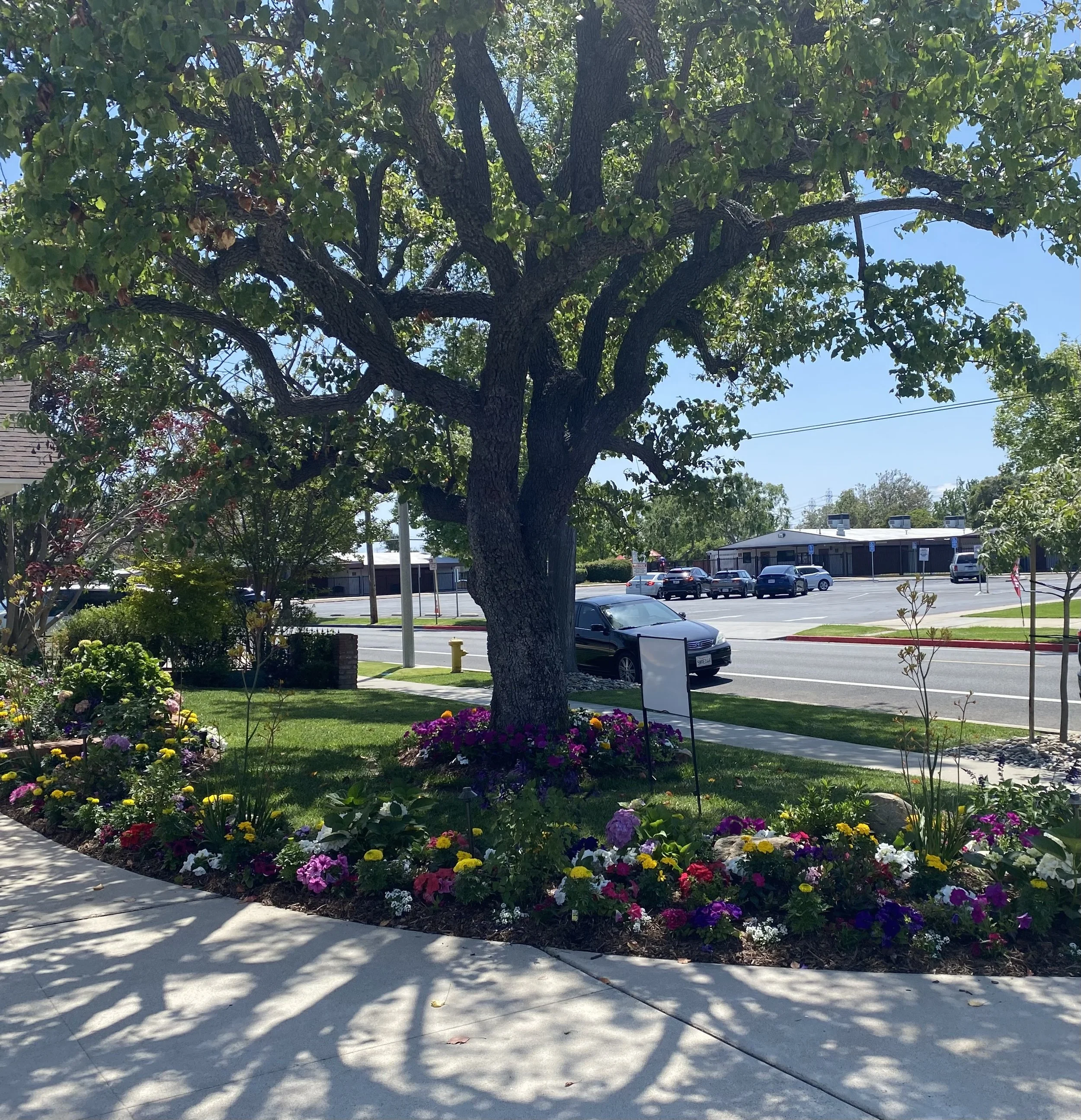 Do You Want My Ways?