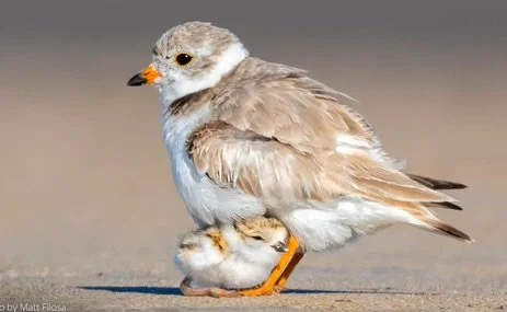 I Know... so COME to Me