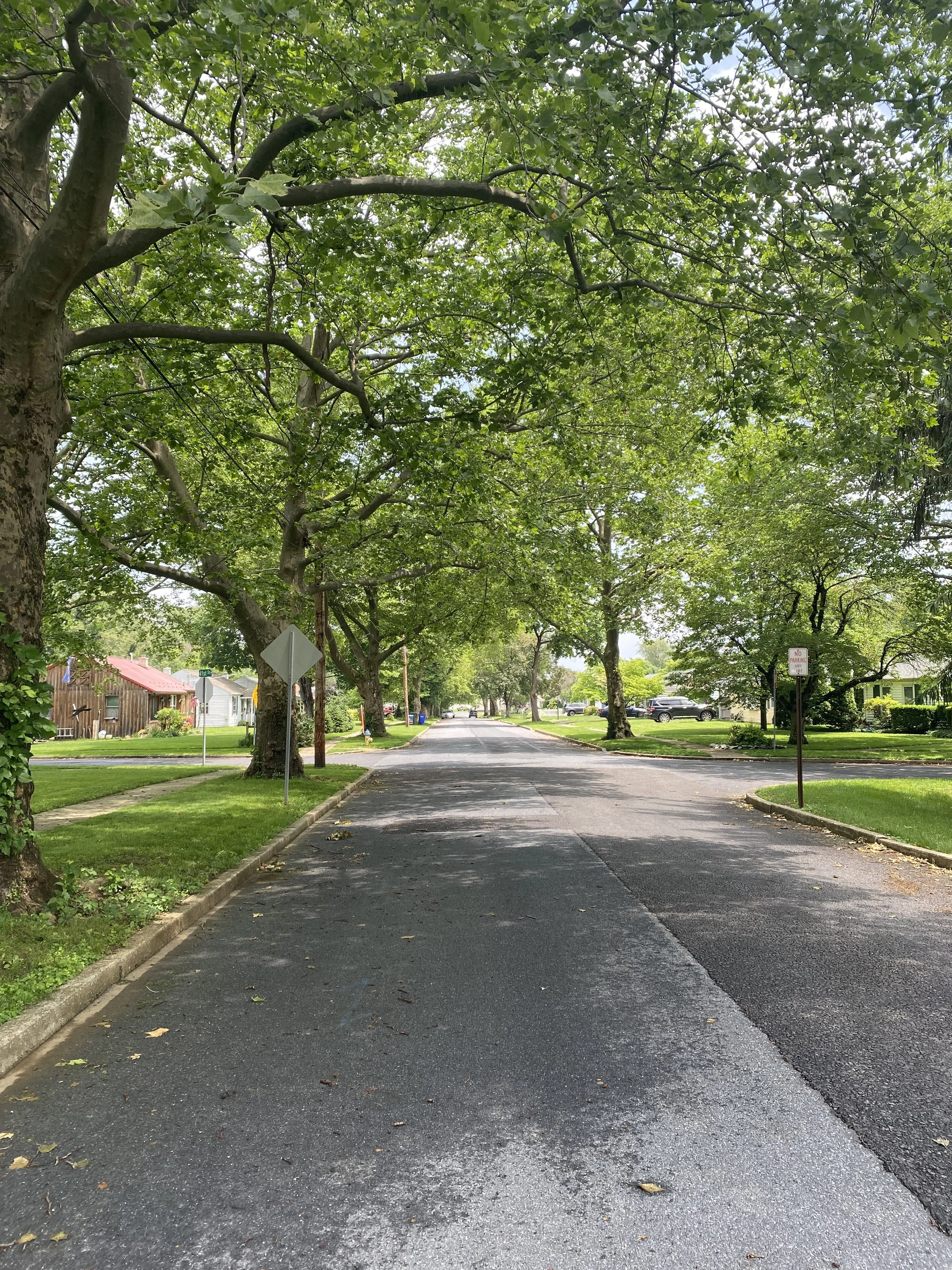 We Believe… in the Midst