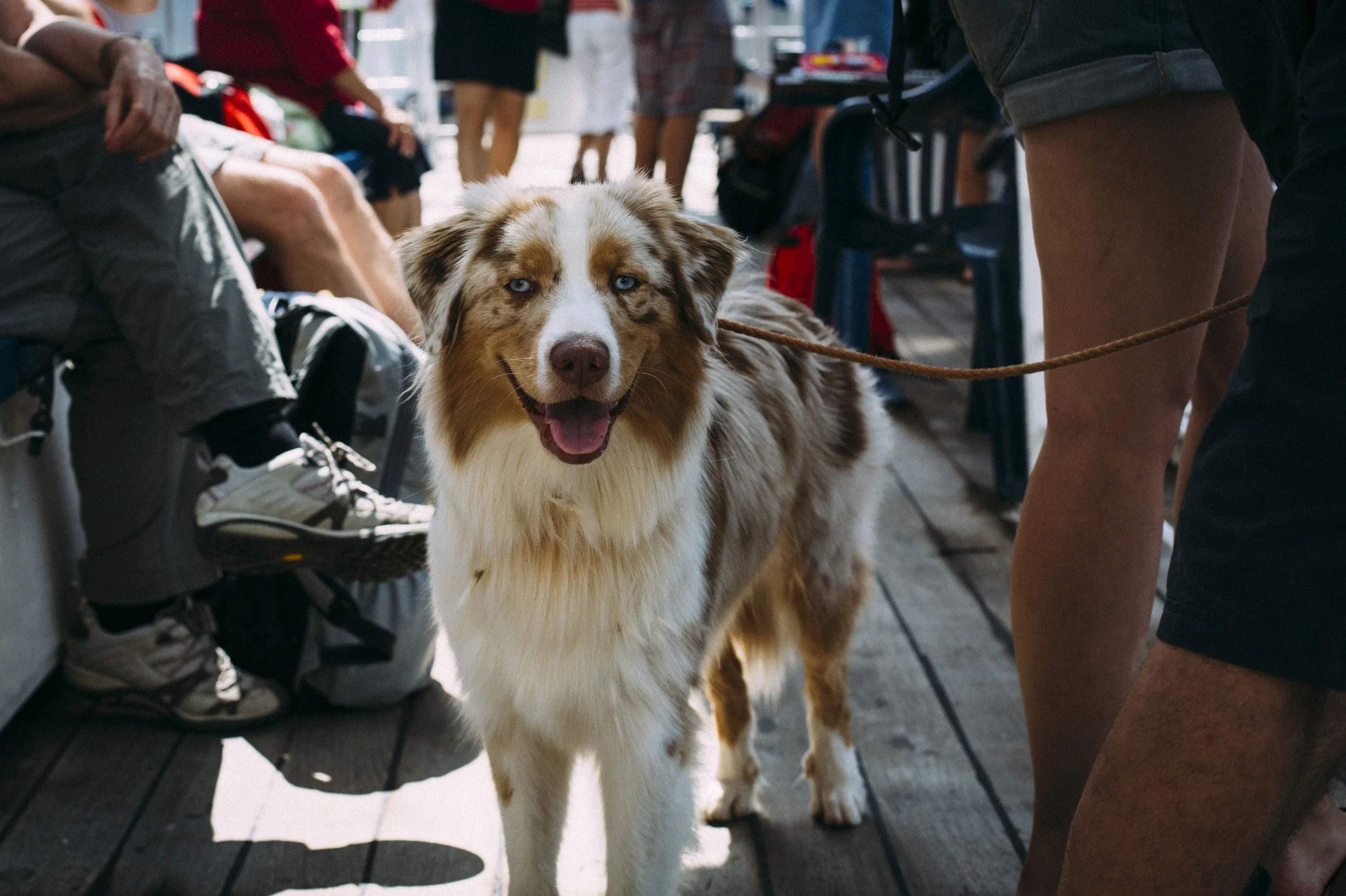 20140906-_MG_3099.jpg