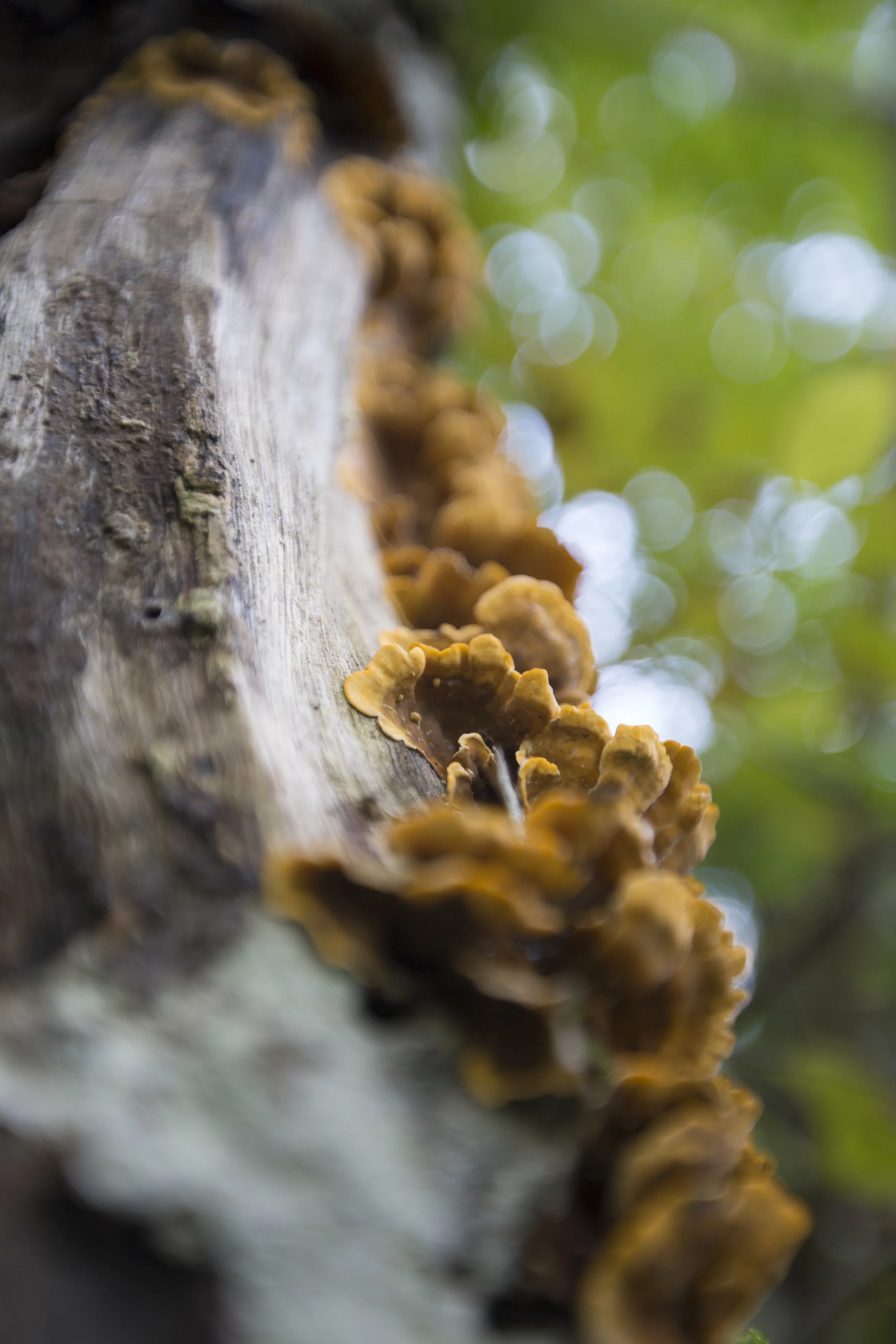 20140919-_MG_9066.jpg