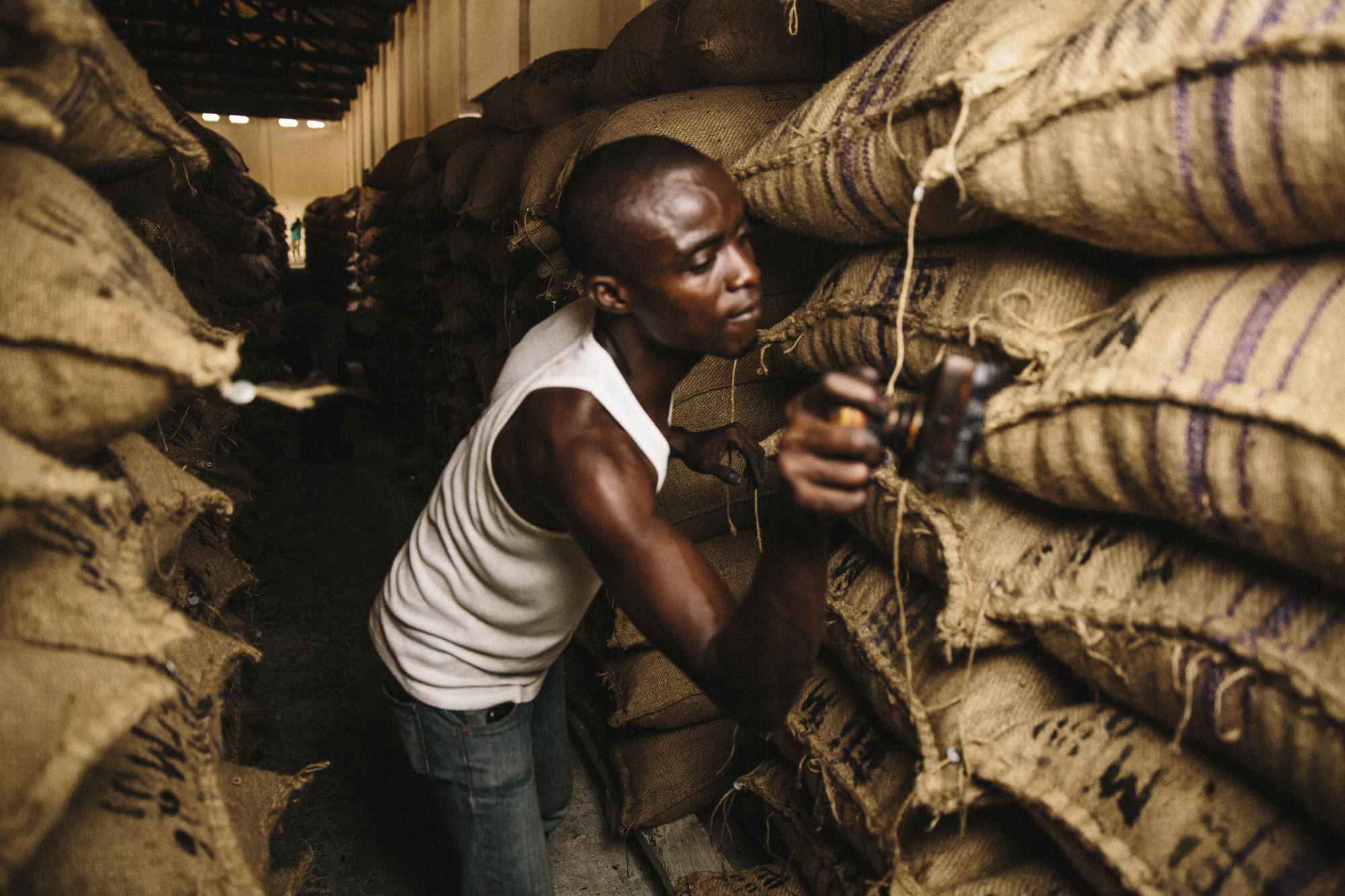 Cocoa Quality, Ghana 2015